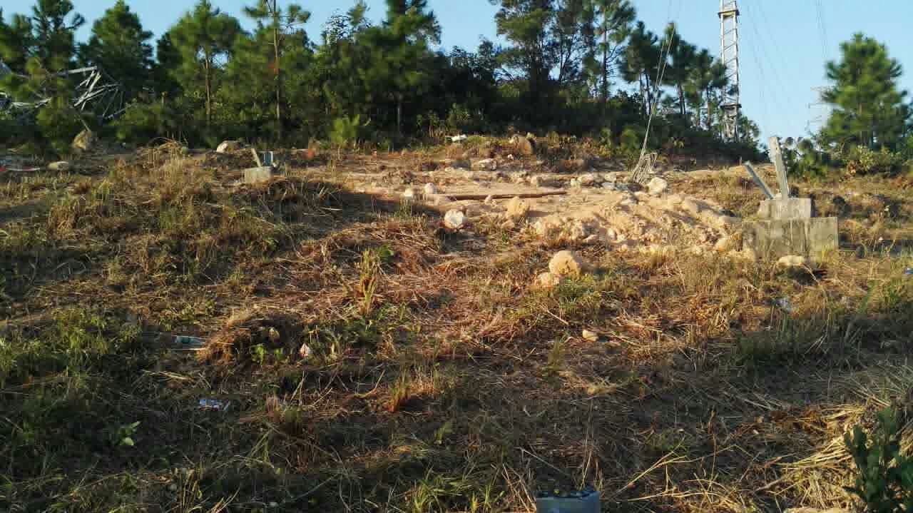 6731������Ϸ(�й���)-�ٷ���վ