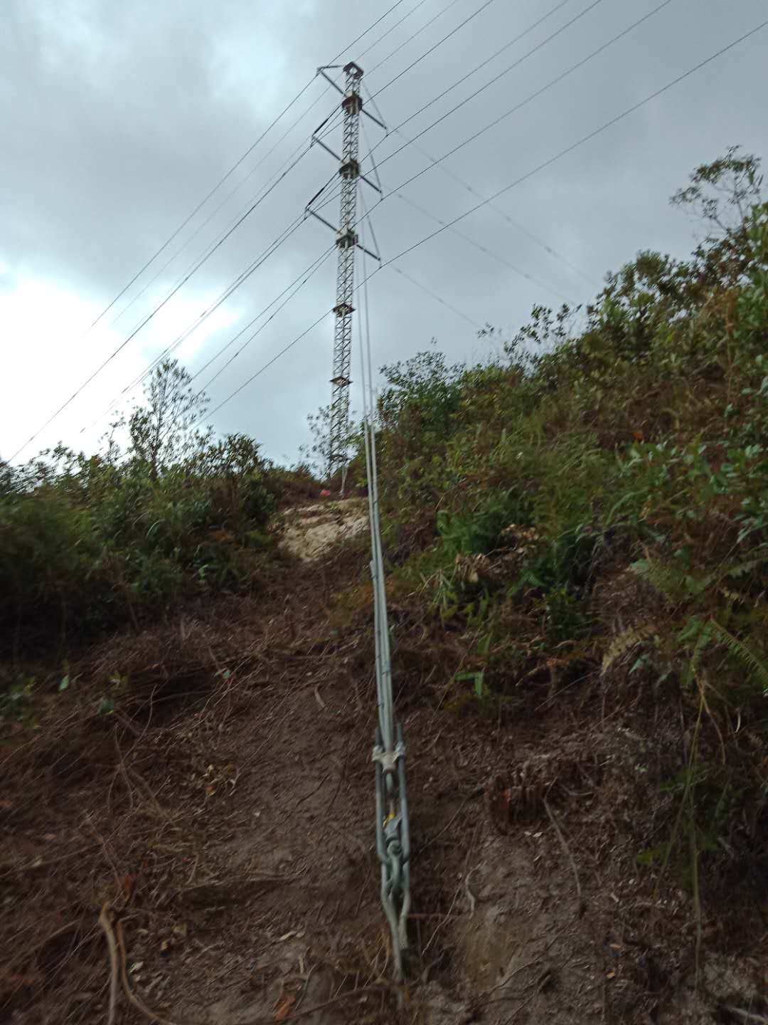 6731������Ϸ(�й���)-�ٷ���վ