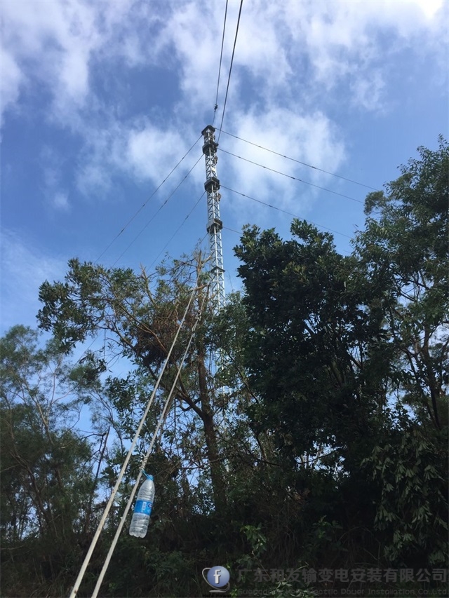 6731������Ϸ(�й���)-�ٷ���վ