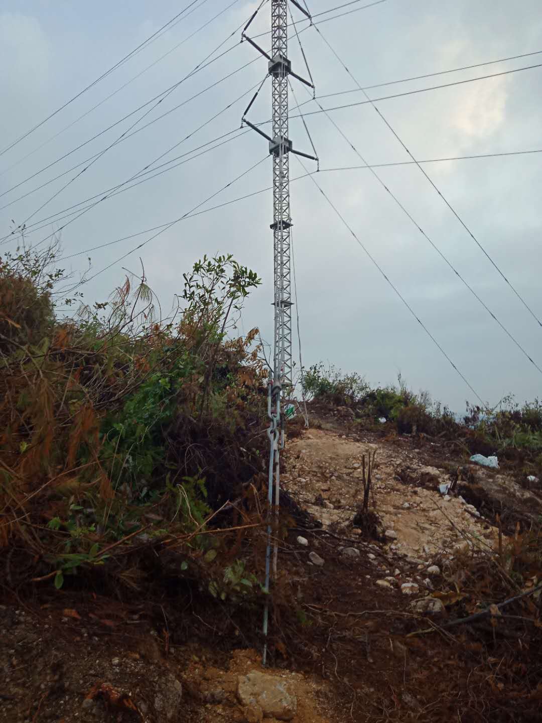 6731������Ϸ(�й���)-�ٷ���վ