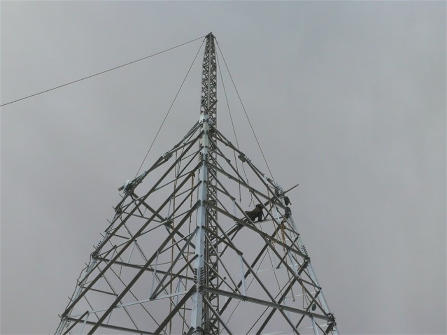 6731������Ϸ(�й���)-�ٷ���վ