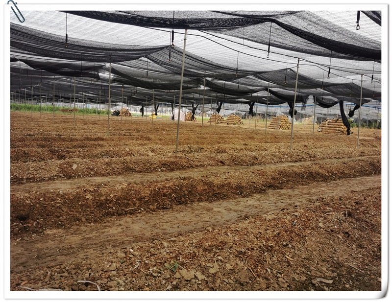 6731������Ϸ(�й���)-�ٷ���վ